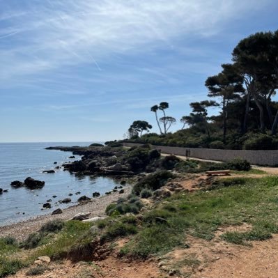 P_h3isenberg's profile picture. 