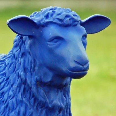 Bluesheepさんのプロフィール画像