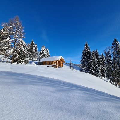 Mom, Wife, Epidemiologist, Data Addict, Tech Innovation for better Health Outcomes. All things Public Health. Animal & Nature lover. TarHeel & ExPat in CH Alps