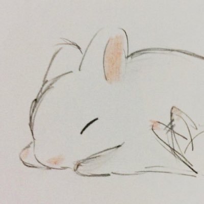 ハクさんのプロフィール画像