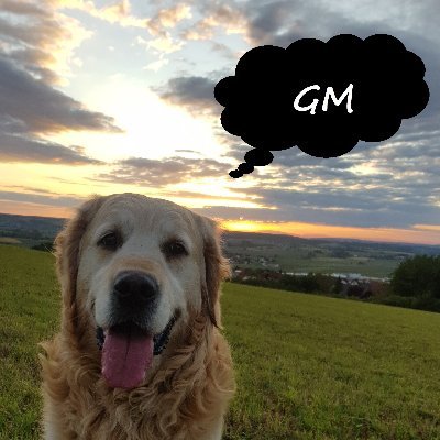 protogrotosof's profile picture. learning-by-doing