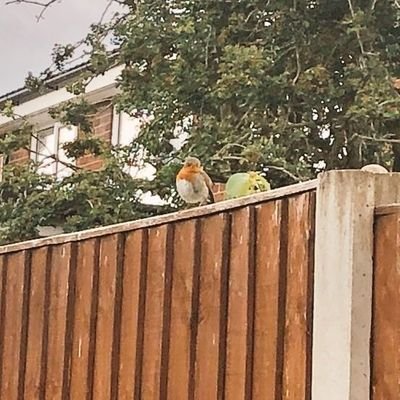 MrsChristie_KS2's profile picture. 🍎 Year 4 Teacher 🐝 she/her 🏳️‍🌈