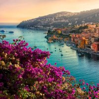 ME من كنت مولاه فهذا علي مولاه (@b3yh58) 's Twitter Profile Photo