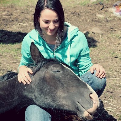 MSc student | Relative contribution of host genetics and the microbiome to phenotypes in @SI_horses at @ucalgaryvetmed