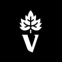 VII(N) (@viin7estate) 's Twitter Profile