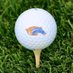 Sheyenne Mustangs Golf (@sheyennegolf) Twitter profile photo Sheyenne Mustangs Golf (@sheyennegolf) Twitter profile photo