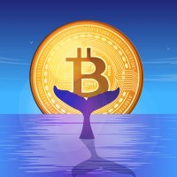 Crypto Helper π³π° (@cryptohelper_me) 's Twitter Profile