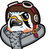 Cedar Valley High School Track & Field (@cedarvalleytf) 's Twitter Profile