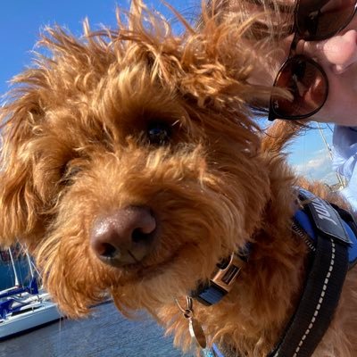 ExploraNeedham's profile picture. Lives in the New Forest but her heart is in Ilfracombe. Loves cricket, beaches, butterflies and walking the dog.