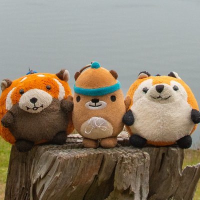 Squishventures's profile picture. We're happy squishie plushies who love going on adventures!