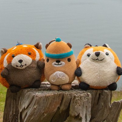 We're happy squishie plushies who love going on adventures!