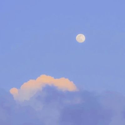 jane_11_'s profile picture.