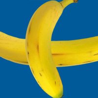 Ⓢⓐⓚⓛⓔⓣⓐⓡⓔⓝ (Letar saker) En brakskit i paradiset. (@splaadnacke) 's Twitter Profile