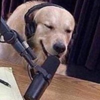 bobow (@cmenowright) 's Twitter Profile
