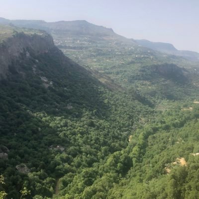 Rotoscoping7's profile picture. Hi guys are they coming to