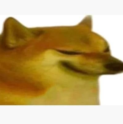 Original Vampaさんのプロフィール画像