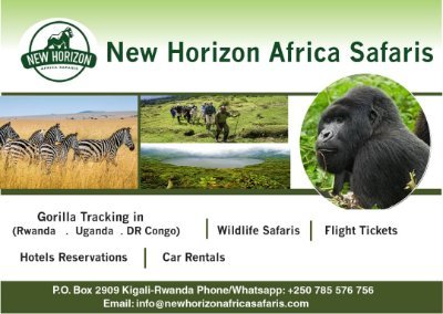 ☻Gorilla Trek tours☻Wildlife Safaris & Travel Services in Rwanda, DR Congo and Uganda
P:+250 785576756 E:newhorizontours5@gmail.com