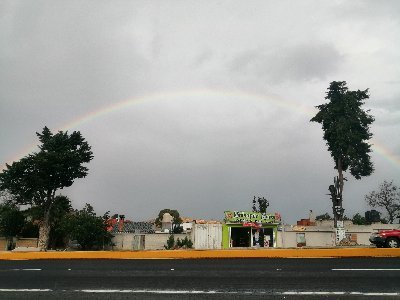 Agradecido con la vida