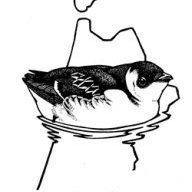 Vogelwerkgroep Alkmaar (@vwgalkmaar) 's Twitter Profile
