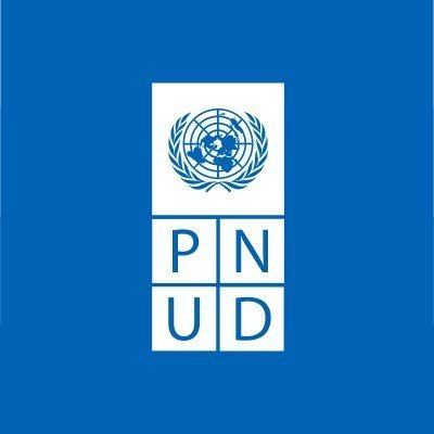 Cuenta oficial del Programa de las Naciones Unidas para el Desarrollo (@pnud) en Chile. Representante Residente: @GeBragaOrillard.