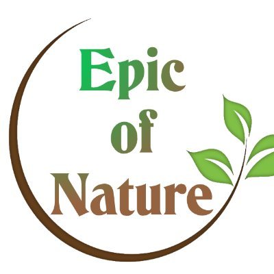 epicofnature's profile picture. "Human is great not because of what has
and who is, but by what shares
with others"