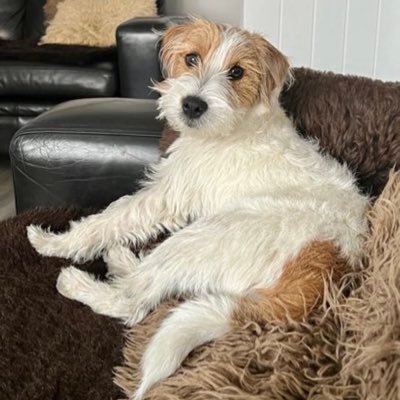 Marcustanner121's profile picture. 