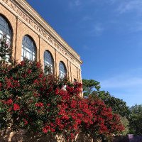 LSUAcademicCenter (@lsuacademicctr) 's Twitter Profile Photo LSUAcademicCenter (@lsuacademicctr) 's Twitter Profile Photo