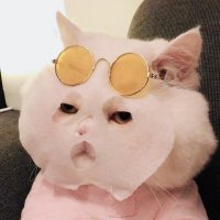FreezingHyper πΈ (@freezinghyper_) 's Twitter Profile