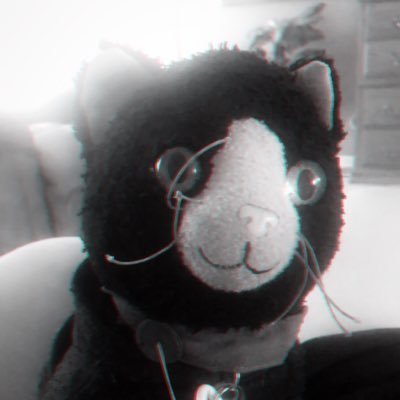 Kittyさんのプロフィール画像