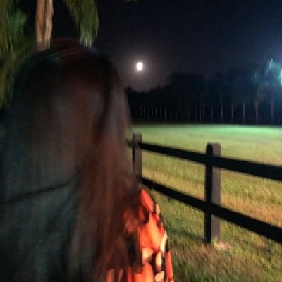 Gomes3_julia2's profile picture. 🌊