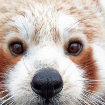 SJLWu5's profile picture. 