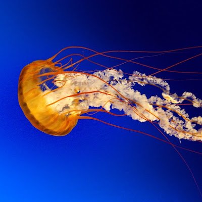 Mikexx6906's profile picture. 