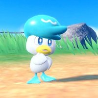 quaxly propaganda 🦆 (@quaxlybestboy) 's Twitter Profile