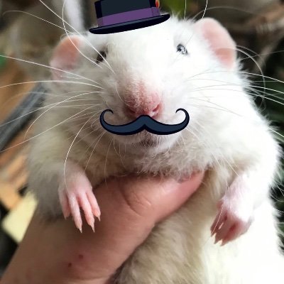 Brian2さんのプロフィール画像