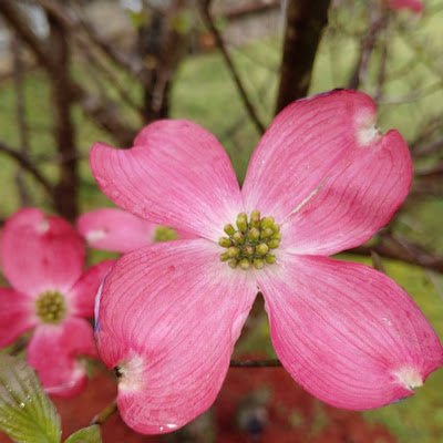 EmieTokey's profile picture. 