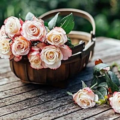 جنوبي الهوى قلبي اللهم احفظ سيدنا اعزه واطل بعمره الشريف سنبقى نقاوم حتى اخر نفس .الثبات .الثبات يا رب .