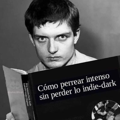 **inserte aquí frase cool** 🌸 | 🎵 | 🎬 | ⚡️