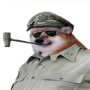 Kamien_w_wode's profile picture. 