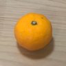 mikan913's profile picture. 2007年うつ病発症(家庭崩壊や職場のパワハラ) 療養中の主婦。障害者手帳2級、障害年金2級。愛犬Mダックス(セプ♂、ネーラ♀)に溺愛。2014年1月17日女の子出産しました(娘：小みかん) 日々お風呂に入れるかどうか闘っている。