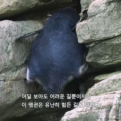 김디귿🎗️さんのプロフィール画像