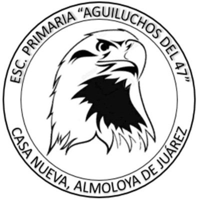 Escuela Primaria Aguiluchos del 47