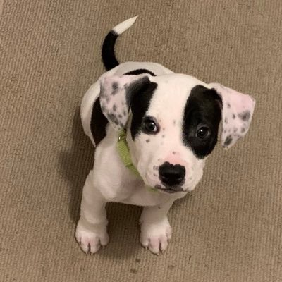 RobFitzgerald19's profile picture. 