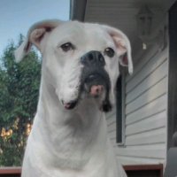 GrayBuckeye22🌰 (@jmfletch22) 's Twitter Profile