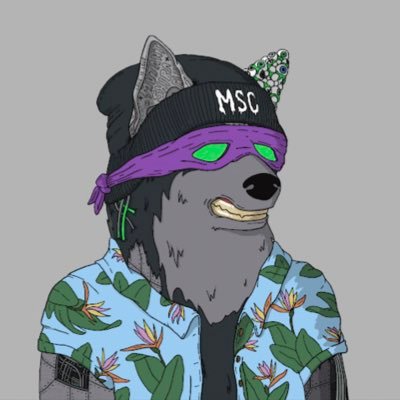 selidrium's profile picture. ⚡️ 🥷