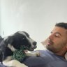 cmhiguita's profile picture. Maui Project dev. I'm interested in programming, open-source projects, graphic design, dogs, and cars. @camiloh@fosstodon.org
