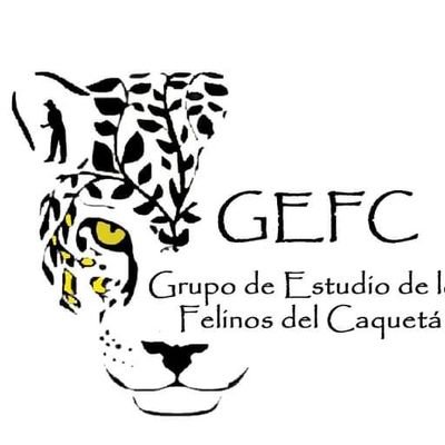 OlberLeonardo's profile picture. Conservación de  los felinos son sp valiosas para la Amazonia Caquetá Grupo de estudio de los felinos del Caquetá facebook