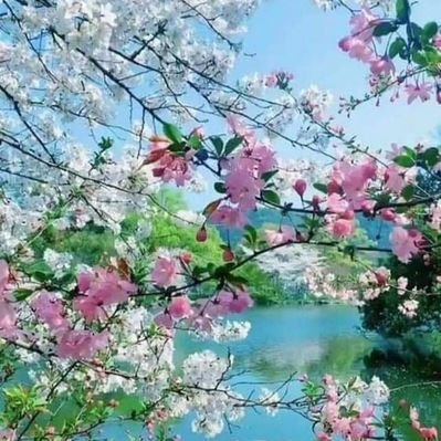 ئەو خودای شتە مەحاڵە کانە 🍃🌼🍃