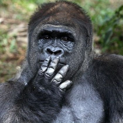 wX4rdfyyDXokRWS's profile picture. 