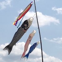 Yasuyuki Hashiguchi (@hashiyuki0909) 's Twitter Profile