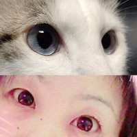 みどりTAKAHASHI🇯🇵 (@takahashigreen) 's Twitter Profile